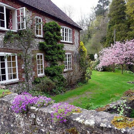 Bridge Cottage ミッドハースト エクステリア 写真